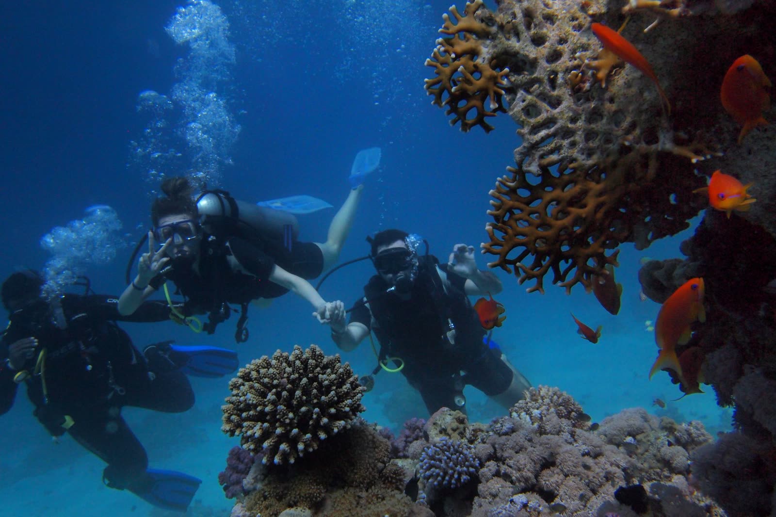 A group of divers exploring a coral reef